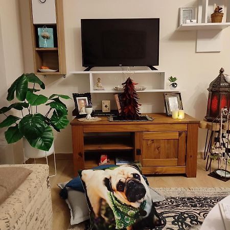 Mon Repos Paleopolis Cosy Apartment Korfu Dış mekan fotoğraf